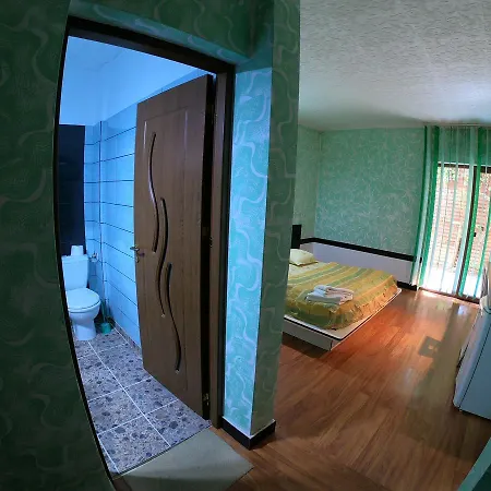 President Guest house Baile Herculane