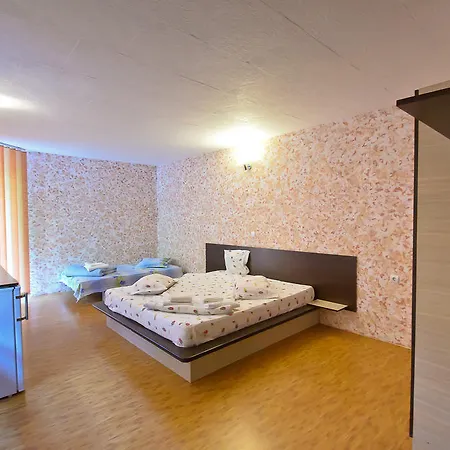 President Guest house Baile Herculane